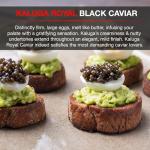 Olma Kaluga Black Caviar - Superior Grade 4.4 oz