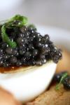 Caviar Star Premium American Paddlefish Caviar - Wild-Caught Spoonbill Malossol Roe - Fresh, Domestic Gourmet Delicacy - Culinary Experience - 4 Ounce
