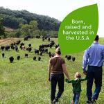 Just Bare, Angus Beef Ribeye, USDA Choice, No Antibiotics Ever