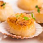 Today Gourmet Foods of NC - Scallops - U10 Dry (5lb Pkg)