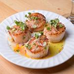 Today Gourmet Foods of NC - Scallops - U10 Dry (5lb Pkg)