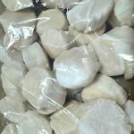 Today Gourmet Foods of NC - Scallops - U10 Dry (5lb Pkg)