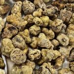 Fresh White Truffles (Tuber Magnatum Pico) 0.50 oz (Half Ounce/14 gr) with TASTE OF TRUFFLES Truffle Shaver