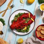 Maine Lobster Now: 1.25 LB Live Maine Lobster (8 Lobsters)