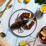 Maine Lobster Now: 1.25 LB Live Maine Lobster (8 Lobsters)