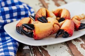 Fresh Florida Stone Crab Claws (Jumbo, 1 LB) | The Rolls Royce of Claws – 2 to 3 Pieces per Pound | Premium Gourmet Seafood | All Fresh