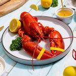 Maine Lobster Now: 1.25 LB Live Maine Lobster (6 Lobsters)