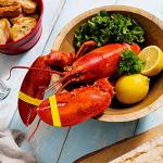 Maine Lobster Now: 1.25 LB Live Maine Lobster (6 Lobsters)