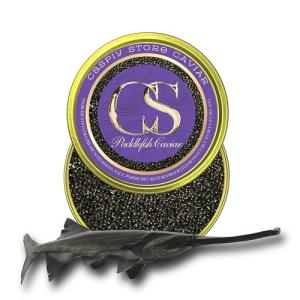 CASPIY American Paddlefish Black Caviar – 1.76 oz / 50 g – Select Malossol Roe – Authentic Spoonbill Caviar