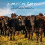 Japanese Beef Wagyu Ribeye A5 Steak (2 Pounds)