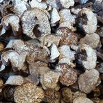 100% Wild Organic Black Truffle,Truffle Mushroom,Truffle,Black Truffle,Perigord Truffle,Truffe,Truffe Noire,Tuber Melanosporum,perigord Truffle,heisonglu,Tuber Truffle (50grams)