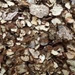 100% Wild Organic Black Truffle,Truffle Mushroom,Truffle,Black Truffle,Perigord Truffle,Truffe,Truffe Noire,Tuber Melanosporum,perigord Truffle,heisonglu,Tuber Truffle (50grams)