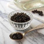 Bester Premium Osetra Sturgeon Caviar - 1 oz
