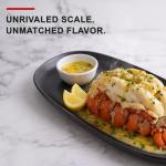 Fresh Wild Caught North Atlantic Lobster Tails 10Lb, 100% Natural, Extra Large, 24-28 Oz Each, Restaurant Quality, Fresh Frozen Lobster Meat, Seafood for Grilling, Boiling, Baking or Broiling