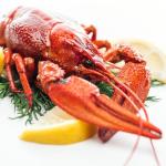 9-Pack Wild-Caught Maine Whole Cooked Lobsters – Premium Homarus Americanus Sustainably Harvested from Family Fisheries in Down East Maine, Gulf of Maine Waters – Sweet, Tender, Ocean-Fresh Flavor