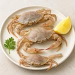 OCEANZEN Soft Shell Crabs – 12 Jumbo Count – Wild-Caught & Flash-Frozen – Cleaned and Ready to Cook – Perfect for Seafood Parties & Family Dinners