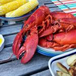 9-Pack Wild-Caught Maine Whole Cooked Lobsters – Premium Homarus Americanus Sustainably Harvested from Family Fisheries in Down East Maine, Gulf of Maine Waters – Sweet, Tender, Ocean-Fresh Flavor