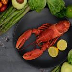 9-Pack Wild-Caught Maine Whole Cooked Lobsters – Premium Homarus Americanus Sustainably Harvested from Family Fisheries in Down East Maine, Gulf of Maine Waters – Sweet, Tender, Ocean-Fresh Flavor