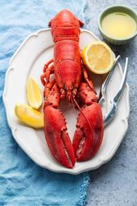 OCEANZEN: Fully Cooked Whole Lobster 1–1.25 lb Each – Premium North Atlantic Lobster, Hand-Selected & Flash-Frozen for Freshness(Pack of 2 ）