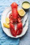 OCEANZEN: Fully Cooked Whole Lobster 1–1.25 lb Each – Premium North Atlantic Lobster, Hand-Selected & Flash-Frozen for Freshness(Pack of 2 ）