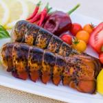 Today Gourmet Foods of NC- Maine Lobster Tails 12/14oz Tails (10 Tails)