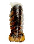 Cold Water Lobster Tails, Wild-Caught Premium Lobster Tails are the best around. Boiled, baked, grilled, 2 pound