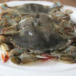 Cameron's Seafood Maryland Soft Shell Crabs (Half Dozen)