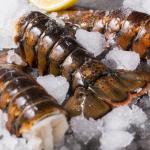 Today Gourmet Foods of NC Lobster Tails (4-5oz.) (12 Tails)