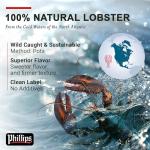 Wild Caught North Atlantic Lobster Tails - 10Lb Box, 20-24 Oz Each, 100% Natural, Restaurant Quality, Fresh Frozen Lobster Tails, Premium Seafood for Grilling, Boiling, Baking or Broiling