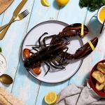 Maine Lobster Now: 1.5 lb Live Maine Lobster (8 Pack)