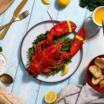 Maine Lobster Now: 1.5 lb Live Maine Lobster (8 Pack)
