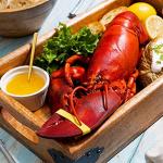 Maine Lobster Now: 1.5 lb Live Maine Lobster (8 Pack)