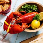 Maine Lobster Now: 1.5 lb Live Maine Lobster (8 Pack)