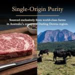 Petrusco Australian Wagyu Ribeye Steak MS 8-9, Grass Fed & 400-Day Grain Finished, Darling Downs Single-Origin Beef, Halal Certified, No Hormones, Premium Gourmet Steak, 16oz