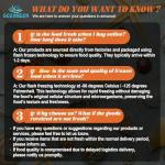 OCEANZEN Maine Lobster Tails 8–10 oz Each, Premium Grade A, Flash-Frozen for Freshness (6 Tails)