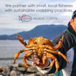 Nordic Catch Wild Arctic Snow Crab Meat, Crab Legs with No Shell for Easy Preparation, 100% Wild-Caught Premium Leg Meat - Fresh Caught, Cooked, & Individually Frozen Seafood At Sea - 1 Pack (16 oz)
