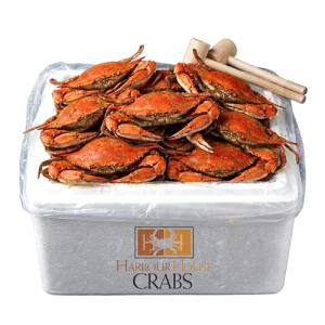 Maryland Steamed Blue Crabs – Jumbo Hardshell (6.5–7 in), Fresh Freshly Steamed Seafood with Mallets & Crab Paper Included, Crab Feast Kit for Delivery pack of 12