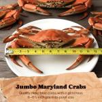 Maryland Steamed Blue Crabs – Jumbo Hardshell (6.5–7 in), Fresh Freshly Steamed Seafood with Mallets & Crab Paper Included, Crab Feast Kit for Delivery pack of 12