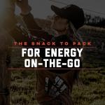 ICON Meats BEAST Stick Sampler - Assorted Flavors of ICON Meats Bison, Elk, Venison and Pork BEAST Sticks - 16 Pack of Individually Wrapped Meat Stick – USDA Approved, All Natural Artisan Meat, Diet and Macro Friendly, High Protein, Low Calorie, Zero to Low Sugar