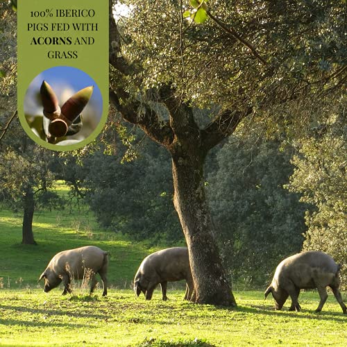 Monte Nevado Acorn-Fed Iberico Ham - 16.5 lbs