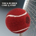 Mozi Sports 120g Heavy Rubber Cricket Balls - Red