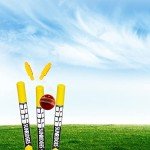 Yellow SS Cricket Plastic Stumps for Practice