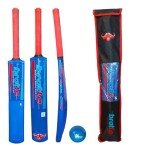 Cricket Best Buy Blue Plastic Cricket Set