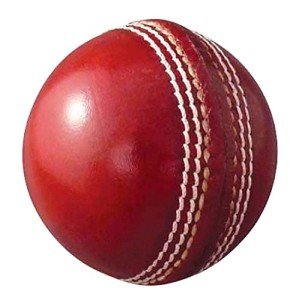 AnNafiĀ® Red Leather Cricket Ball for Practice