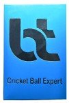 BT Red Cricket Balls - Pack of 6 Leather Balls
