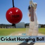 Fitcozi Kids Cricket Practice PVC/Rubber Hanging Ball