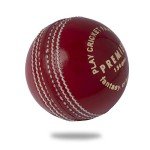 Cricnix Premier Red Cricket Ball 5.5oz for Seniors