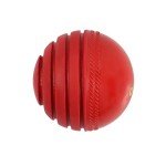 Omtex Wobble Ball for Cricket Practice