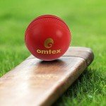 Omtex Wobble Ball for Cricket Practice