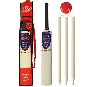 Junior Cricket Bat and Stumps Gift Set